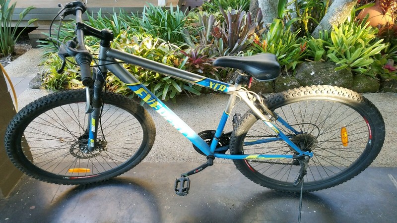 everest xcr 21 speed mountain bike